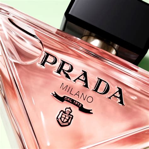 paradoxe prada edgars.